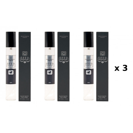 Seed Adventure 33 ml Embalagem com 3 unidades perfume equivalente Reyes Queens