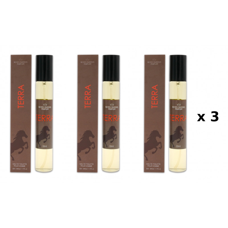 Terra 33 ml Pack de 3 unités parfum équivalent Reyes Queens