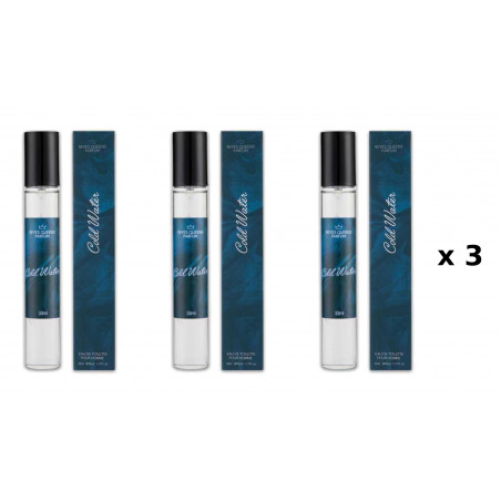 Cold Water 33 ml Pack of 3 Units equivalent perfume Reyes Queens