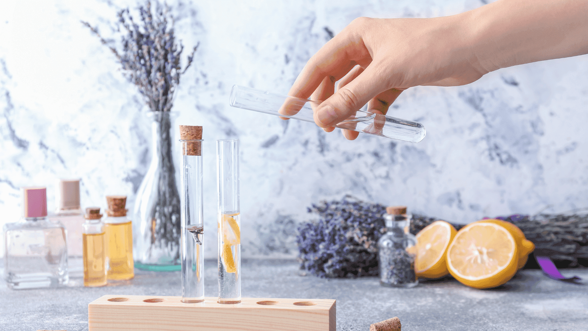 Guías de perfumes de equivalencia